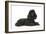 Black Poodle Lying Down-null-Framed Photographic Print