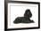 Black Poodle Lying Down-null-Framed Photographic Print
