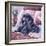 Black Poodle-Jenny Newland-Framed Giclee Print