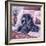 Black Poodle-Jenny Newland-Framed Giclee Print