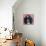 Black Poodle-Carolee Vitaletti-Mounted Art Print displayed on a wall