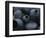 Black Pottery, San Bartolo Coyotepec, Oaxaca, Mexico-Judith Haden-Framed Photographic Print