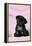Black Pug Puppy (8 Wks Old)-null-Framed Premier Image Canvas