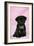 Black Pug Puppy (8 Wks Old)-null-Framed Photographic Print