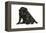 Black Pug with Black Puppy (6 Weeks Old)-null-Framed Premier Image Canvas