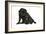 Black Pug with Black Puppy (6 Weeks Old)-null-Framed Photographic Print