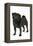 Black Pug-null-Framed Premier Image Canvas