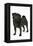 Black Pug-null-Framed Premier Image Canvas