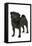 Black Pug-null-Framed Premier Image Canvas