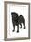 Black Pug-null-Framed Photographic Print