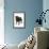 Black Pug-null-Framed Photographic Print displayed on a wall