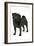 Black Pug-null-Framed Photographic Print