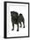 Black Pug-null-Framed Photographic Print