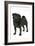 Black Pug-null-Framed Photographic Print