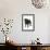 Black Pug-null-Framed Photographic Print displayed on a wall