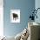 Black Pug-null-Framed Photographic Print displayed on a wall