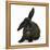 Black Rabbit with Windmill Ears-Mark Taylor-Framed Premier Image Canvas