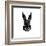 Black Rabbit-Lisa Kroll-Framed Art Print