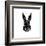 Black Rabbit-Lisa Kroll-Framed Art Print