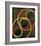 Black Relief with Colour Circles, 1930/32-Robert Delaunay-Framed Giclee Print