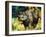 Black Rhino-Sydney Edmunds-Framed Giclee Print