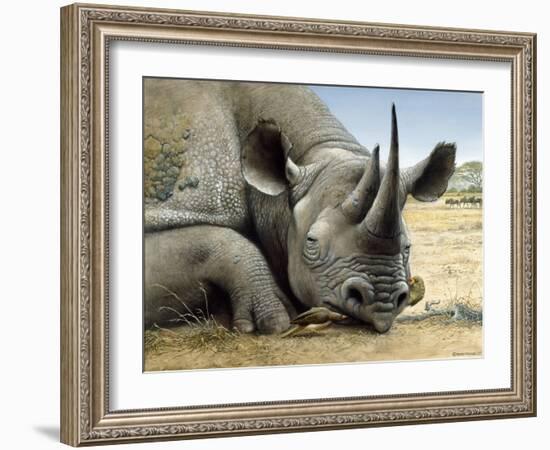 Black Rhino-Harro Maass-Framed Giclee Print