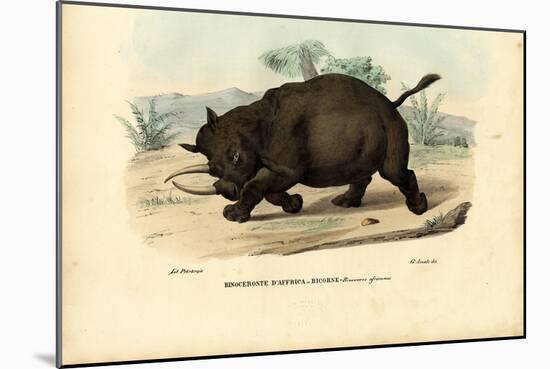 Black Rhinoceros, 1863-79-Raimundo Petraroja-Mounted Giclee Print