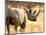 Black Rhinoceros at Halali Resort, Namibia-Joe Restuccia III-Mounted Photographic Print