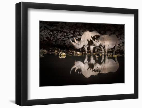 Black Rhinoceros (Diceros Bicornis) Mother and Calf Having a Drink-Wim van den Heever-Framed Photographic Print