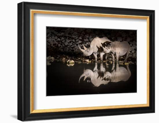 Black Rhinoceros (Diceros Bicornis) Mother and Calf Having a Drink-Wim van den Heever-Framed Photographic Print