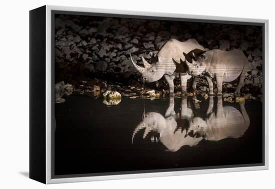 Black Rhinoceros (Diceros Bicornis) Mother and Calf Having a Drink-Wim van den Heever-Framed Premier Image Canvas