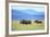 Black Rhinoceros on the Savanna-DLILLC-Framed Photographic Print