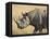 Black Rhinoceros or Hook-Lipped Rhinoceros with Yellow-Billed Oxpecker, Kenya, Africa-James Hager-Framed Premier Image Canvas