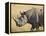 Black Rhinoceros or Hook-Lipped Rhinoceros with Yellow-Billed Oxpecker, Kenya, Africa-James Hager-Framed Premier Image Canvas