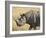 Black Rhinoceros or Hook-Lipped Rhinoceros with Yellow-Billed Oxpecker, Kenya, Africa-James Hager-Framed Photographic Print