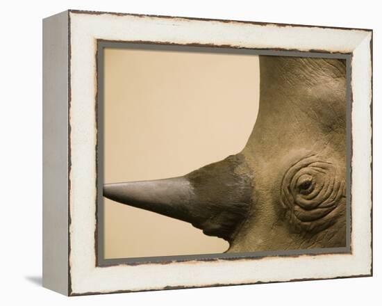 Black Rhinoceros-Henry Horenstein-Framed Premier Image Canvas