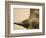 Black Rhinoceros-Henry Horenstein-Framed Photographic Print