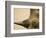 Black Rhinoceros-Henry Horenstein-Framed Photographic Print