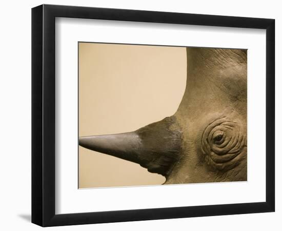 Black Rhinoceros-Henry Horenstein-Framed Photographic Print