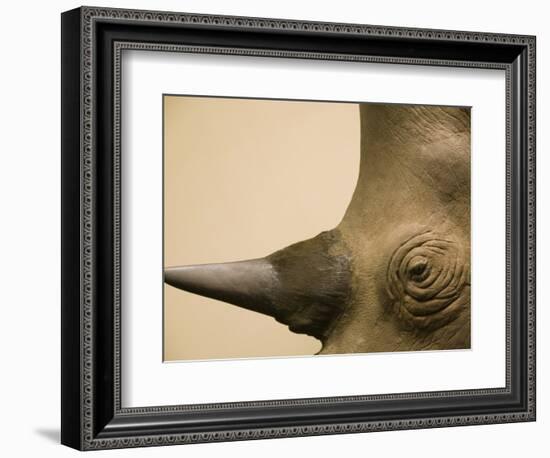 Black Rhinoceros-Henry Horenstein-Framed Photographic Print