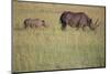 Black Rhinoceros-DLILLC-Mounted Photographic Print