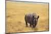 Black Rhinoceros-DLILLC-Mounted Photographic Print