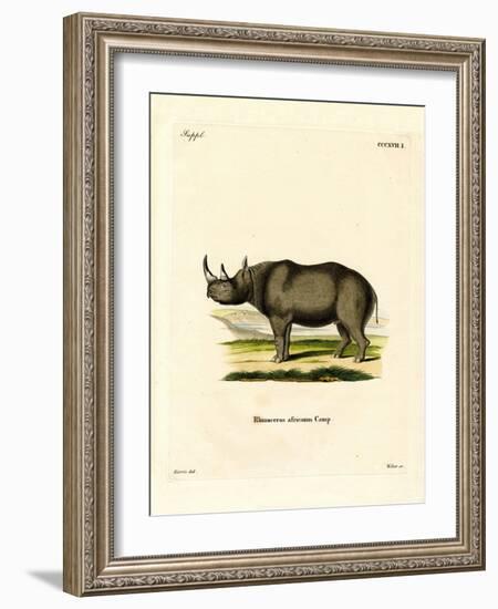 Black Rhinoceros-null-Framed Giclee Print