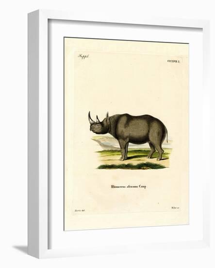 Black Rhinoceros-null-Framed Giclee Print