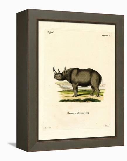 Black Rhinoceros-null-Framed Premier Image Canvas