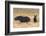 Black Rhinos (Diceros Bicornis), Lewa Wildlife Conservancy, Laikipia, Kenya, East Africa, Africa-Ann and Steve Toon-Framed Photographic Print