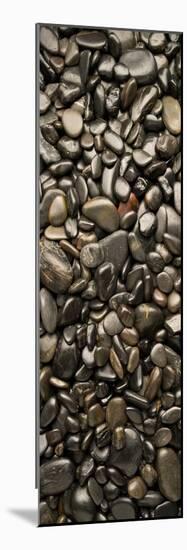 Black River Stones Portrait-Steve Gadomski-Mounted Photographic Print