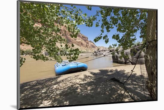 Black Rocks Campsite in McInnis Canyons NNRA, Colorado River-Trish Drury-Mounted Photographic Print