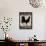 Black Rooster 1-Diane Stimson-Framed Stretched Canvas displayed on a wall