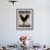 Black Rooster 2-Diane Stimson-Framed Art Print displayed on a wall